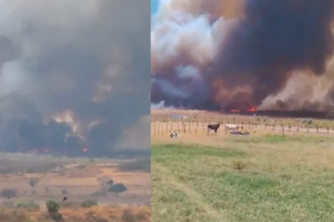 Incêndio registrado na zona rural de Abaiara já dura mais de 24h; fogo segue sendo combatido